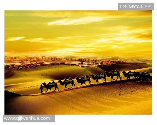 袁堂文：探索中国传统文化与现代艺术的交融之路